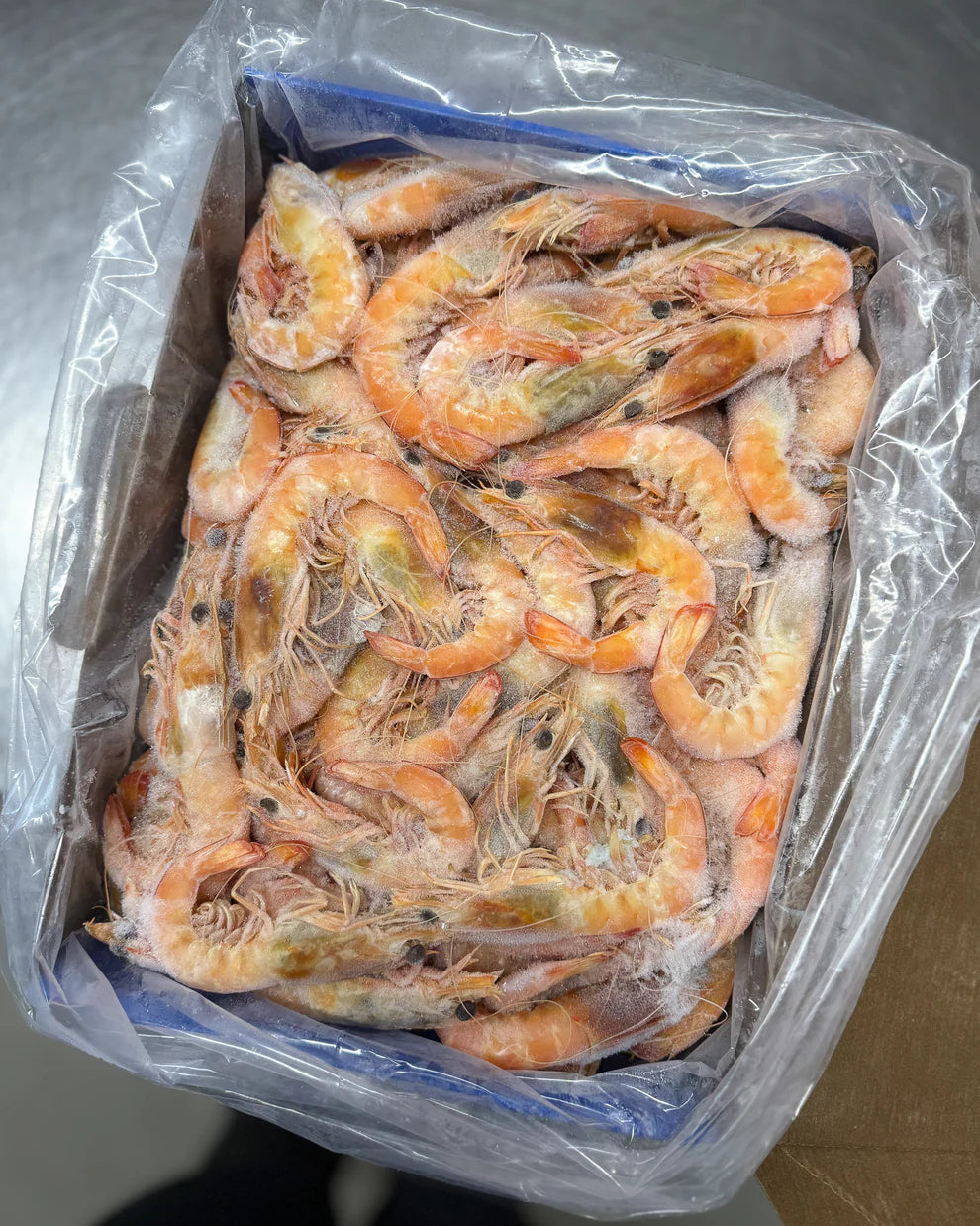 Cooked Whole Prawns SA - 10/15 Large, 5kg pack