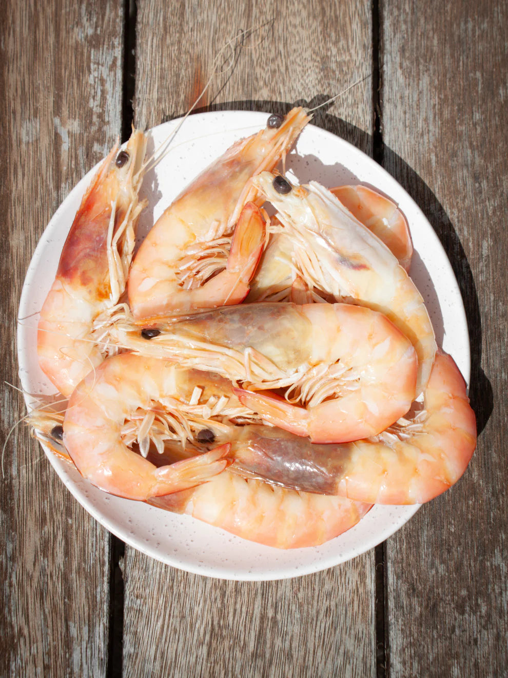 Cooked Whole Prawns SA - 10/15 Large, 5kg pack